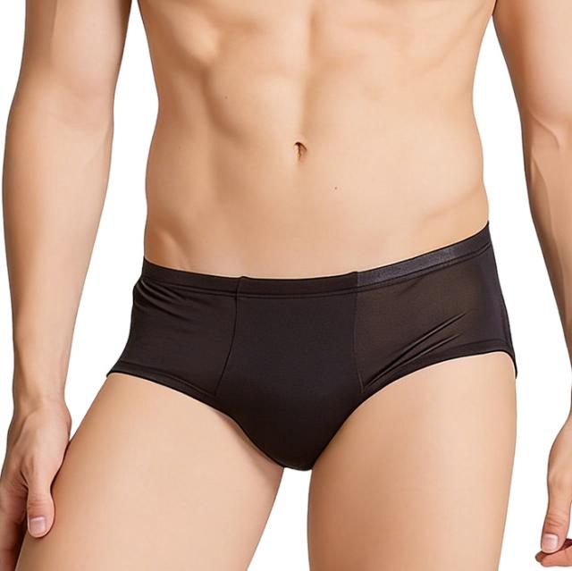 【送料無料】シルク100％ 薄手で快適 メンズボクサーパンツ