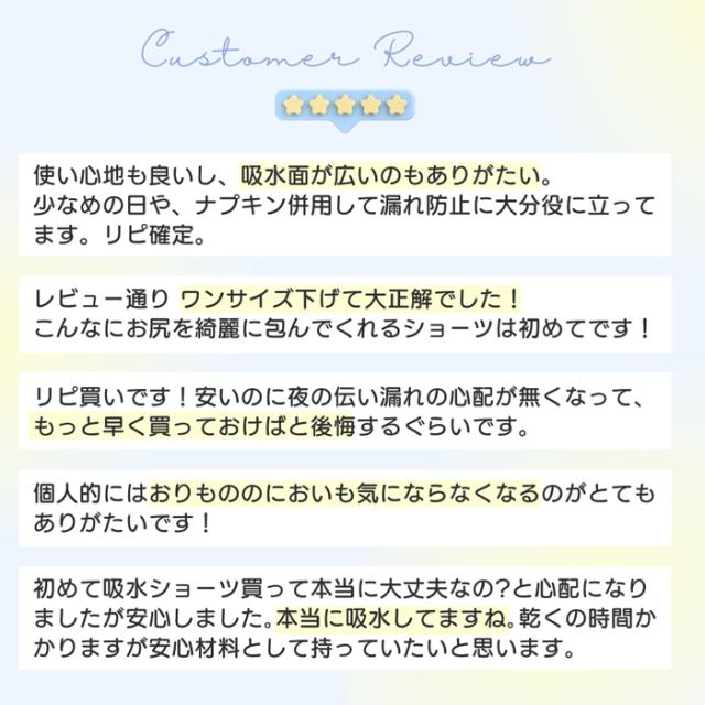 【送料無料】 多い日も安心 吸水型サニタリーショーツ