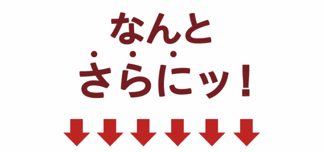 特価NEW 布団カバー 彩 綿100%の通販はau PAY マーケット - 寝具のレオワイド|商品ロットナンバー:286074025 2点セット キング 掛け布団カバー 敷き布団カバー サテンストライプ 最安値大得価
