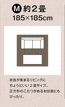 フィルメ　ラグ　スミノエ　185×185cm