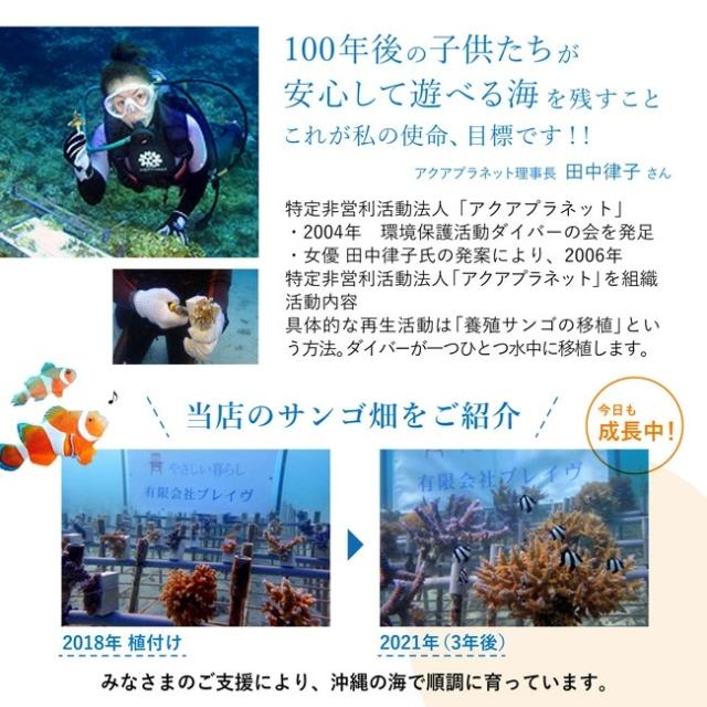 今治タオル ハンドタオル リネンハンカチ