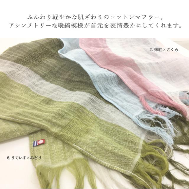 今治タオル・コットンマフラーラインカラー