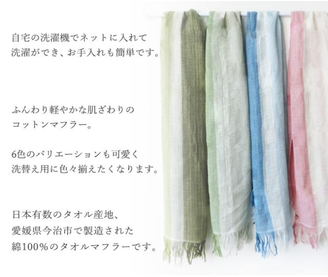今治タオル・コットンマフラーラインカラー