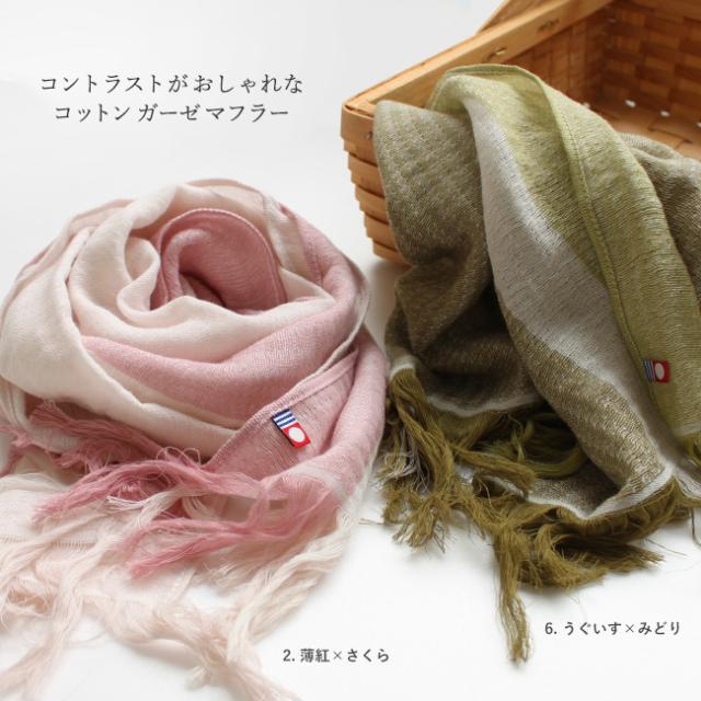 今治タオル・コットンマフラーラインカラー