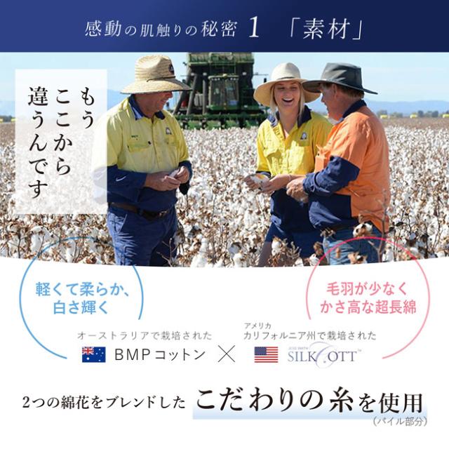 フェイスタオル 今治