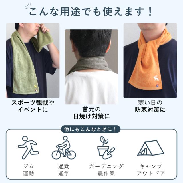 今治 スポーツタオル