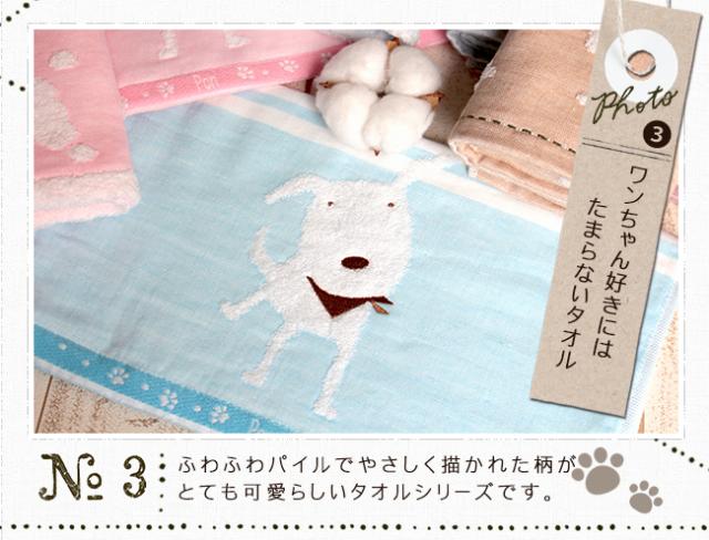 今治 タオルセット