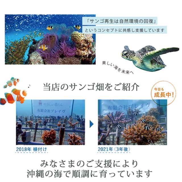 乾きやすい リネンフェイスタオル