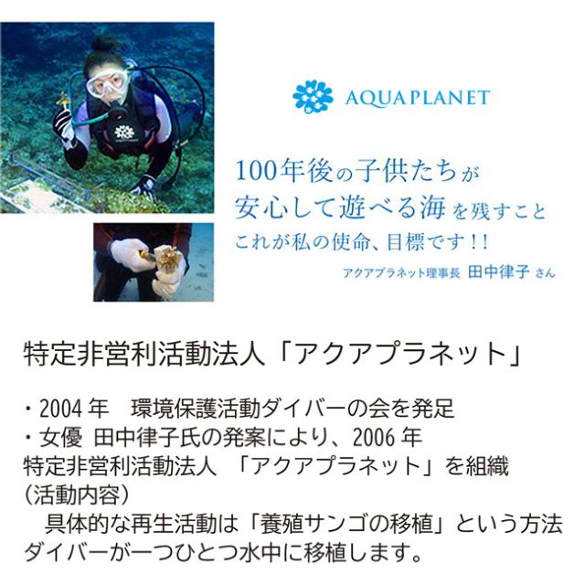 乾きやすい リネンフェイスタオル