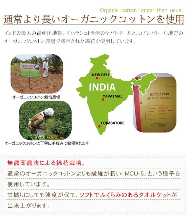 タオルケット オーガニック