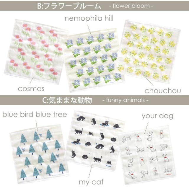 かや生地ふきん3枚セット