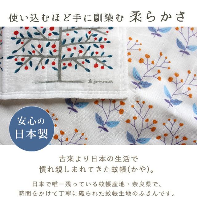 かや生地ふきん3枚セット