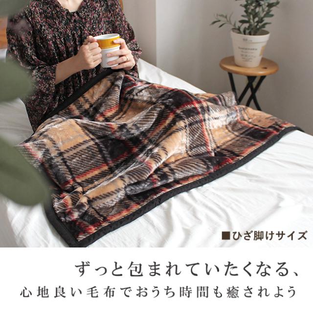 ビバリーヒルズポロクラブBHPCニューマイヤー毛布