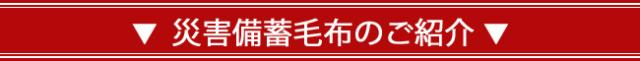 災害備蓄用毛布 フリース毛布 防災毛布 防災用タオル