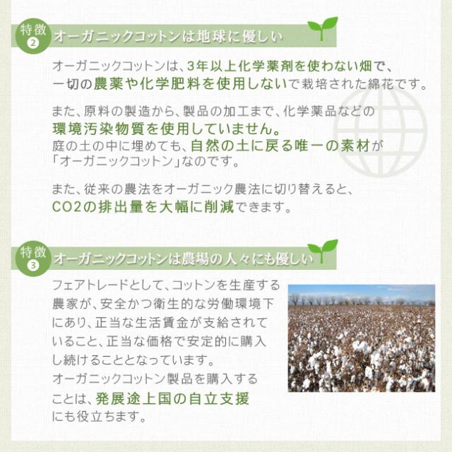 綿毛布 ハーフケット オーガニック毛布