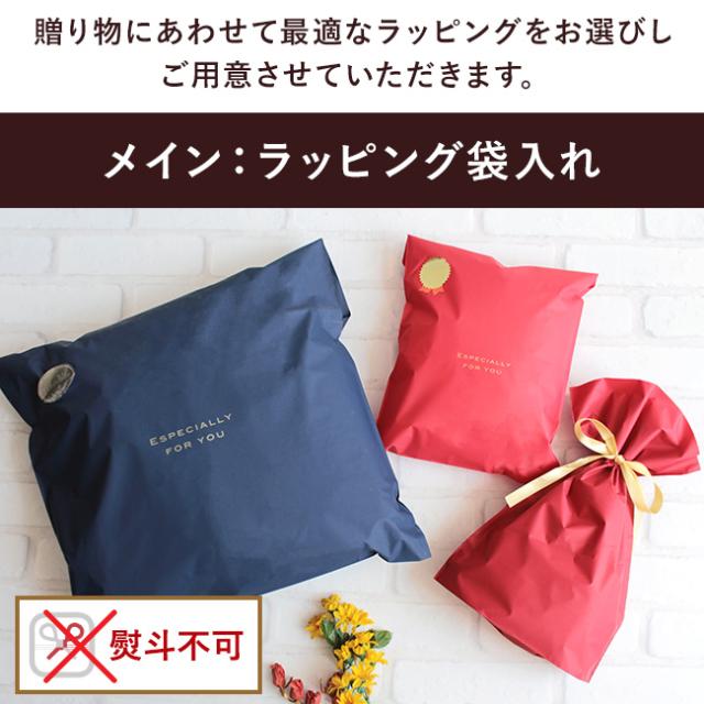 熨斗の要らないカジュアルなギフト用ラッピング