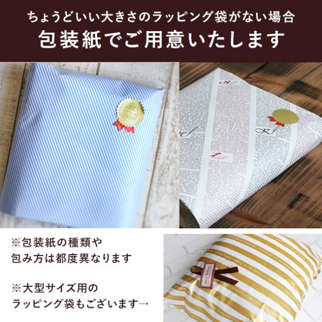 熨斗の要らないカジュアルなギフト用ラッピング