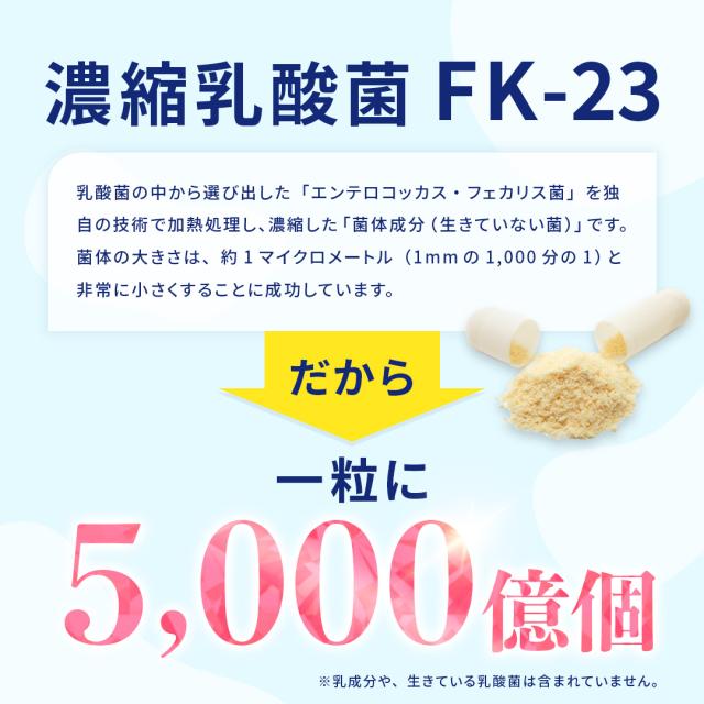 乳酸菌5000