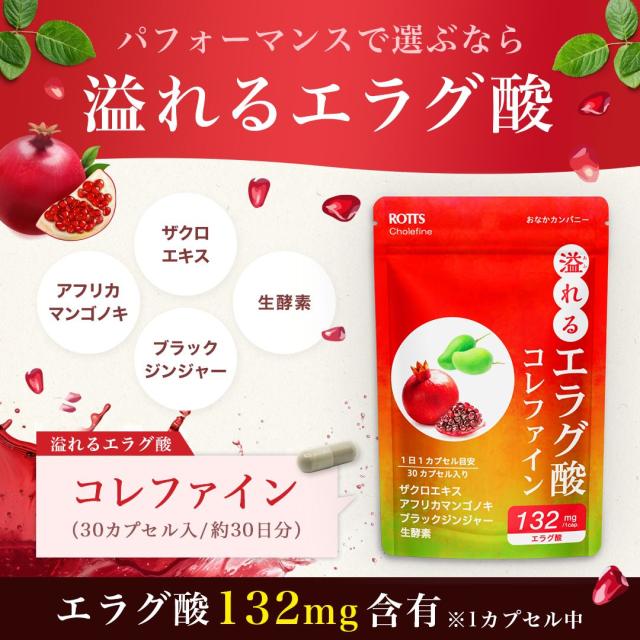 「内」「脂」アプローチ型カプセル