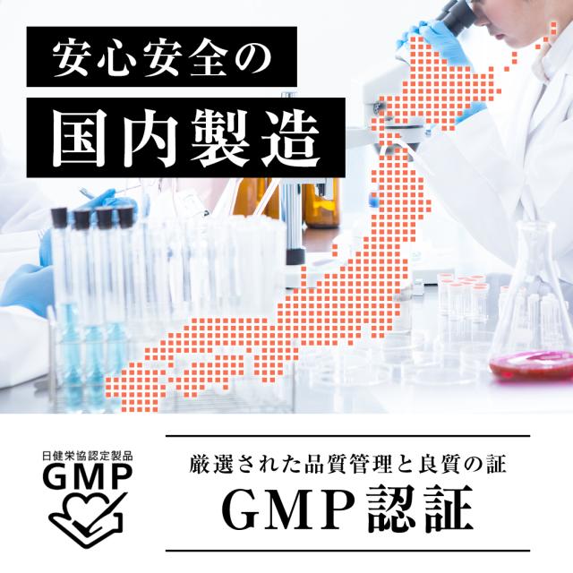 国内GMP工場