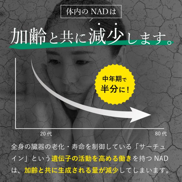 NMNはNADに変換されて活躍