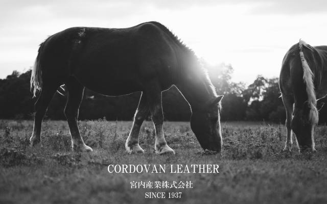 新喜皮革コードバン