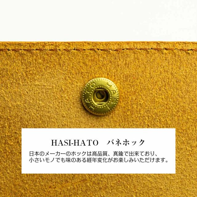 ハシハトホック