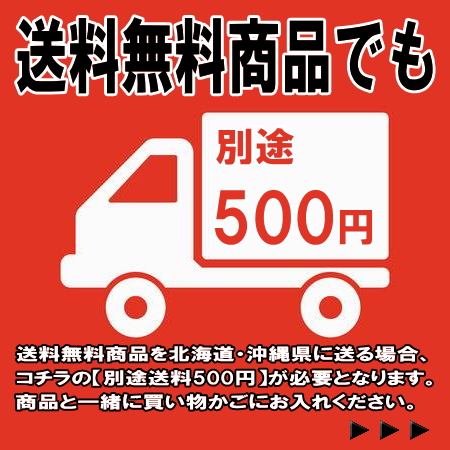 別途500円