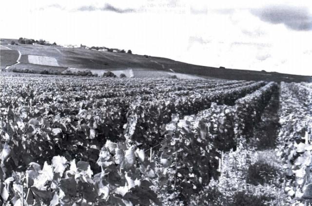 Finalsale対象商品30 Off Nv ブラン ド ブラン ティエリー ウリー750ml 発泡白 シャンパン シャンパーニュ ギフト 酒 お彼岸 敬老の日 贈答 送料無料 21年春夏再販 Www Iacymperu Org