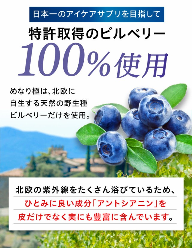 ビルベリー ルテイン サプリ【機能性表示食品】さくらの森 めなり極 1