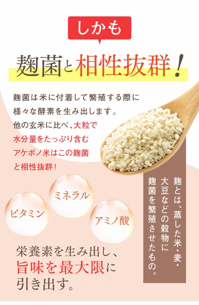 甘酒 さくらの森 玄米麹甘酒ともり 濃縮タイプ 1袋 450gさくらの森 無農薬 玄米 アケボノ米 ミネラル ビタミン アミノ酸 ノンアルコール