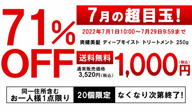 爽健美髪 ディープ モイストトリートメント250g トリートメント 潤い