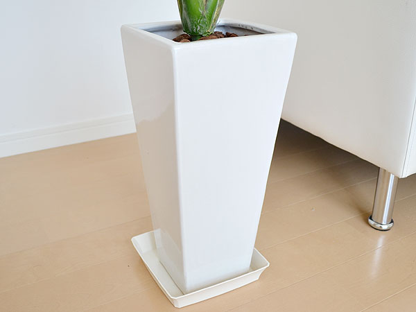 人工観葉植物 ストレリチア・レギネ 陶器鉢の拡大