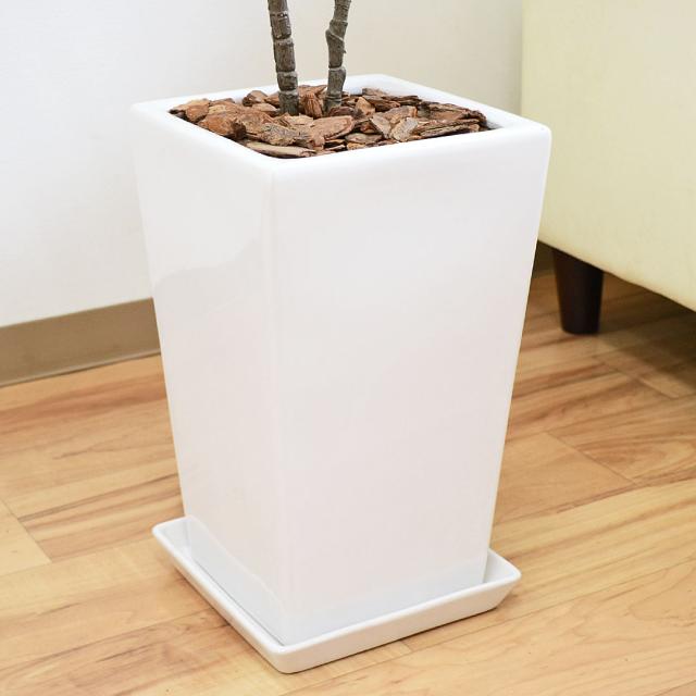 人工観葉植物 シェフレラ 陶器鉢 陶器鉢の拡大