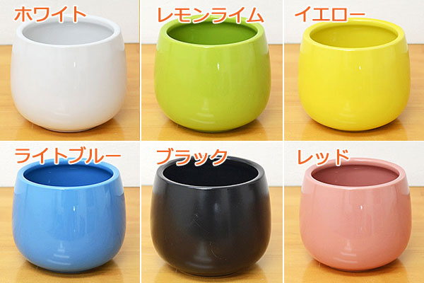 選べる陶器鉢の種類