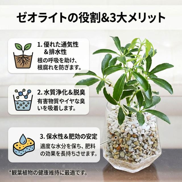 観葉植物 ハイドロカルチャー ヘキサグラス ゼオライト 3鉢セット ゼオライトの説明