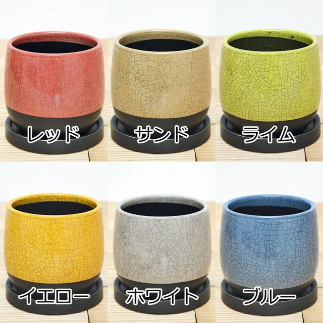 観葉植物 ミニ 陶器鉢植え 陶器鉢の拡大