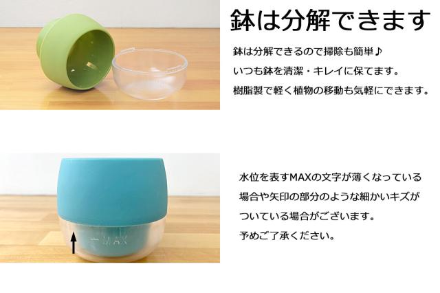 ミニ観葉植物 ハイロドカルチャー 3鉢セット 鉢の説明