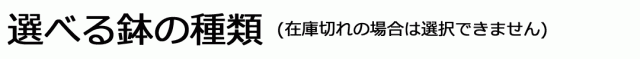 選べる鉢の種類