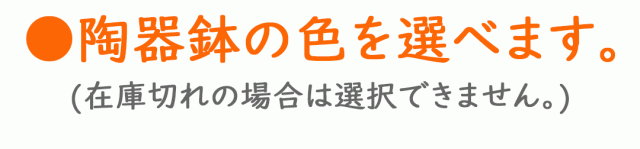 陶器鉢の色を選べます。