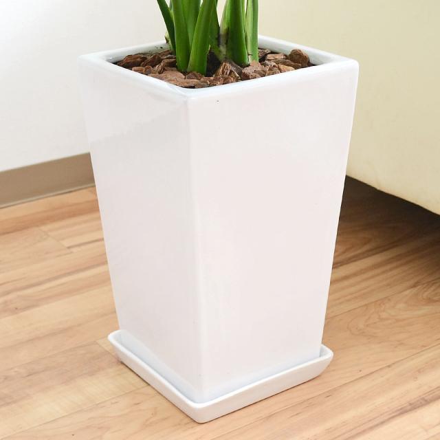 観葉植物 モンステラ スクエア陶器鉢植え 7号 鉢の拡大