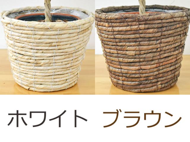 鉢カバーの拡大