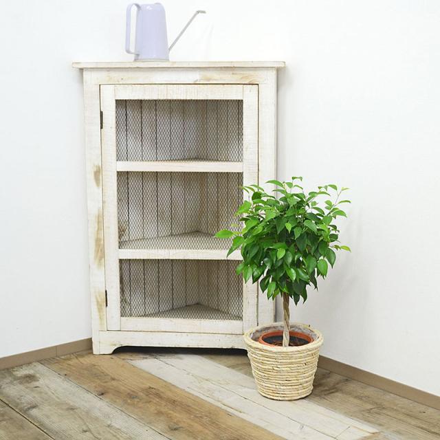 観葉植物 ベンジャミン・リッチ 鉢カバー付き 5号 イメージ2