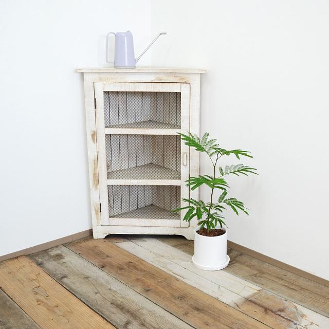 観葉植物 エバーフレッシュ 5号 陶器鉢 イメージ4