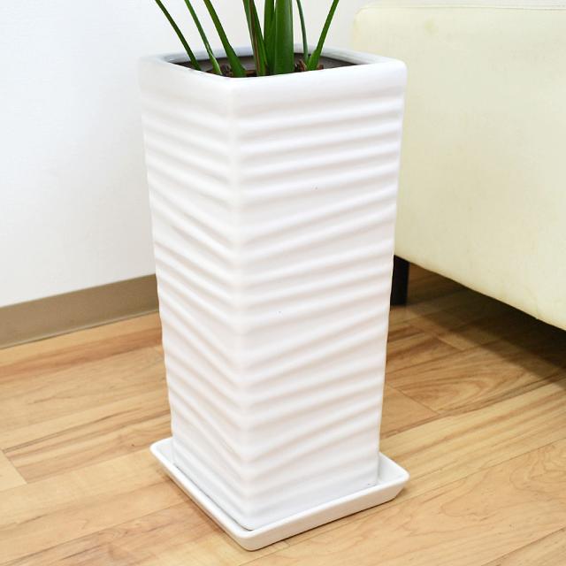 観葉植物 モンステラ 陶器鉢 7号 陶器鉢の拡大