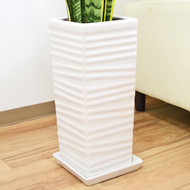 観葉植物 サンスベリア 千段陶器鉢 陶器鉢の拡大