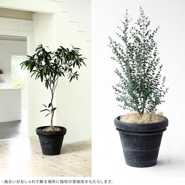 ボルドー 直径40cm