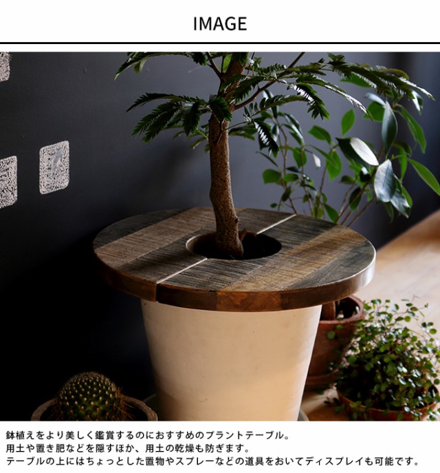 鉢植えを綺麗に プラントテーブル サークル 直径45cm  インテリアグリーン 観葉植物 鉢 カバー 花台 北欧 天然木 おしゃれ  