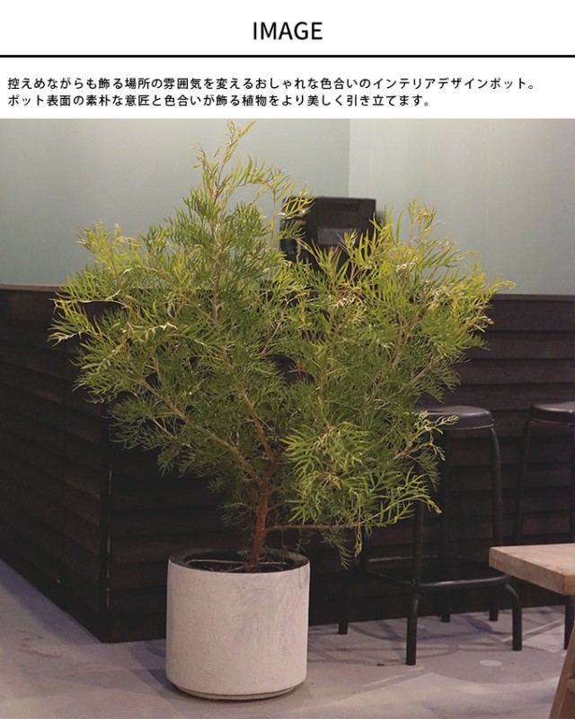 プランター インテリアカラー ソルナシリンダー 直径33cm  プランターポット 植木鉢 大型 大鉢 軽量 シンプル FRP 丈夫 穴あり テラス バルコニー 公共施設 エントランス おしゃれ インテリア  