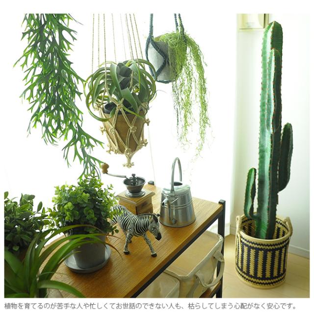 Brown. ブラウン フェイクグリーン スパニッシュモス ハンギングブッシュ グリーン 77cm  観葉植物 フェイクグリーン イミテーションフラワー 造花 ディスプレイ ボタニカル 植物 多肉植物 インテリア おしゃれ  